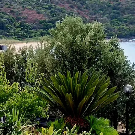 Incantevole Fronte Mare A Villa Palau